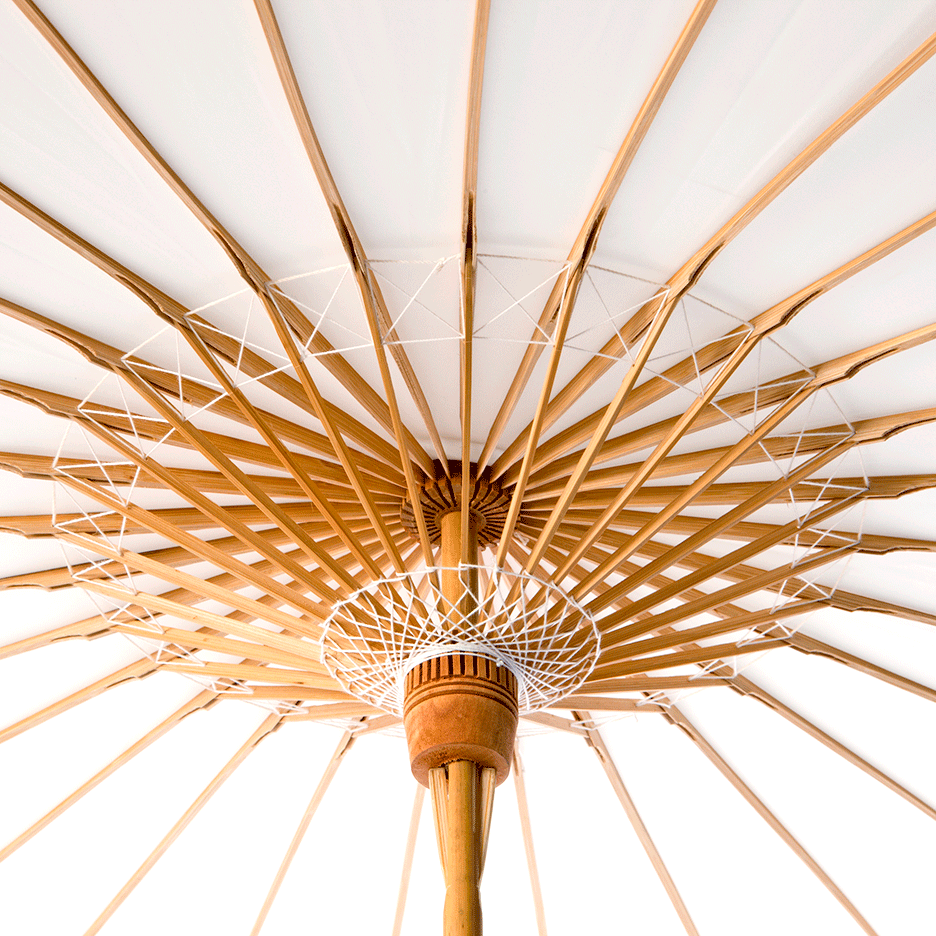 Interior view of Lily Lark bamboo constructed parasol. 